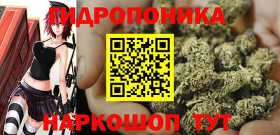 ECSTASY Славгород